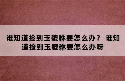 谁知道捡到玉貔貅要怎么办？ 谁知道捡到玉貔貅要怎么办呀